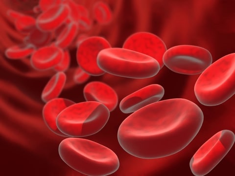 Bloedcellen: rode witte en bloedplaatjes